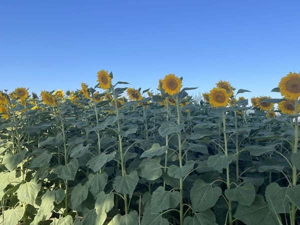 Travel in Inner Mongolia