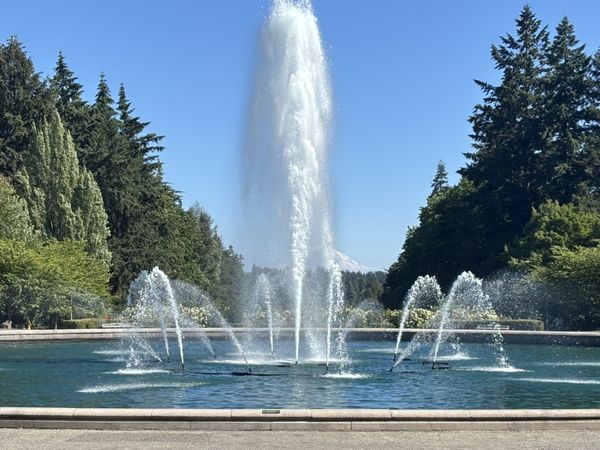 Travel in Seattle